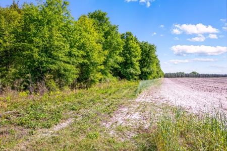 Land For Sale In Hamilton County!!! - image 4