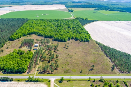 Land For Sale In Hamilton County!!! - image 17