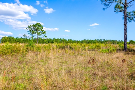 Land For Sale In Hamilton County!!! - image 7