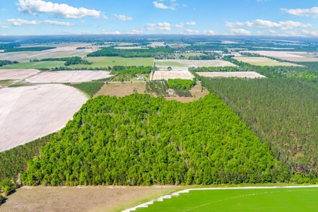 Land For Sale In Hamilton County!!! - image 9