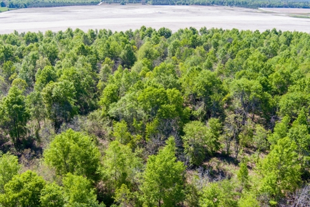 Land For Sale In Hamilton County!!! - image 22