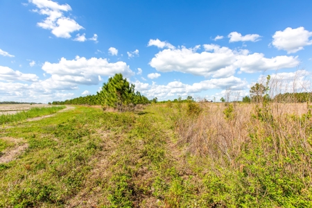 Land For Sale In Hamilton County!!! - image 5