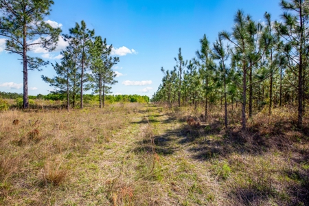 Land For Sale In Hamilton County!!! - image 6