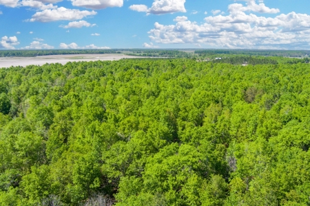 Land For Sale In Hamilton County!!! - image 13