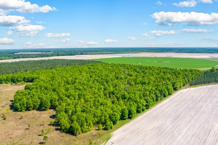 Land For Sale In Hamilton County!!! - image 16