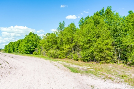 Land For Sale In Hamilton County!!! - image 20