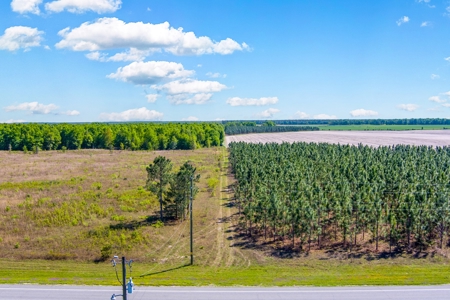 Land For Sale In Hamilton County!!! - image 18