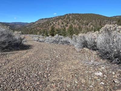 Eastern Oregon Recreational Frye Homestead - image 27
