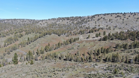 Eastern Oregon Recreational Frye Homestead - image 24