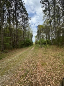 The Buffalo Creek Tract - image 3