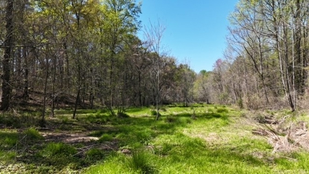 The Buffalo Creek Tract - image 11