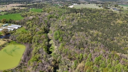 The Buffalo Creek Tract - image 17