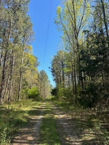 The Buffalo Creek Tract - image 6