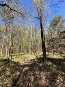 The Buffalo Creek Tract - image 31