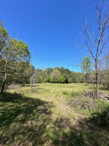 The Buffalo Creek Tract - image 37
