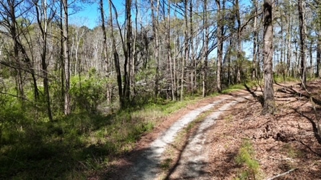 The Buffalo Creek Tract - image 39