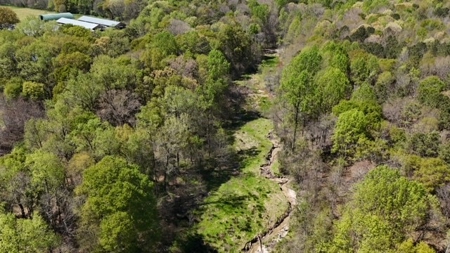 The Buffalo Creek Tract - image 16