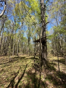 The Buffalo Creek Tract - image 23