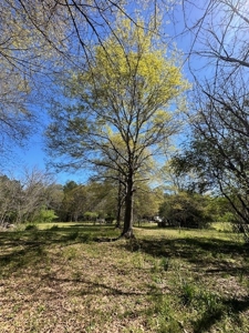 The Buffalo Creek Tract - image 38