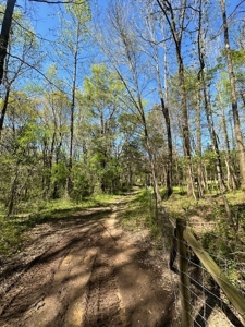 The Buffalo Creek Tract - image 14