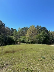 The Buffalo Creek Tract - image 15