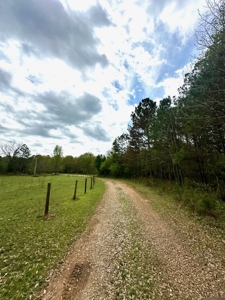 The Buffalo Creek Tract - image 4