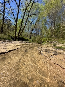 The Buffalo Creek Tract - image 19