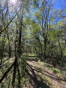The Buffalo Creek Tract - image 36