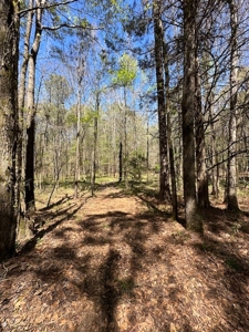 The Buffalo Creek Tract - image 32