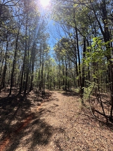 The Buffalo Creek Tract - image 29