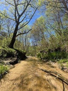 The Buffalo Creek Tract - image 18
