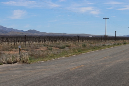 Prime vineyard land in Willcox, AZ AVA - image 26
