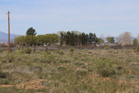 Prime vineyard land in Willcox, AZ AVA - image 21