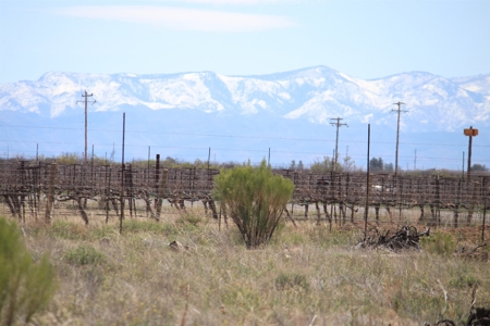 Prime vineyard land in Willcox, AZ AVA - image 15