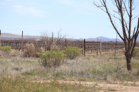 Prime vineyard land in Willcox, AZ AVA - image 14