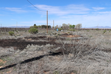 Prime vineyard land in Willcox, AZ AVA - image 11