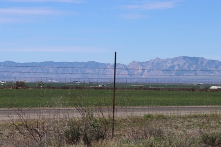Prime vineyard land in Willcox, AZ AVA - image 22