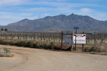 Prime vineyard land in Willcox, AZ AVA - image 8