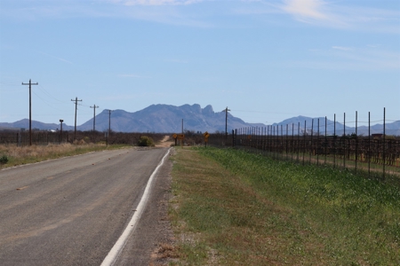 Prime vineyard land in Willcox, AZ AVA - image 9