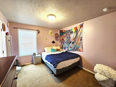 4 Bedroom 3 Bath Country Property - image 9