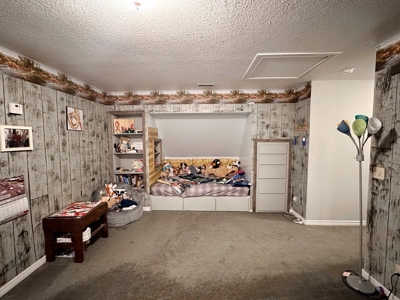 El Dorado Springs Missouri Country Home & Land For Sale - image 30