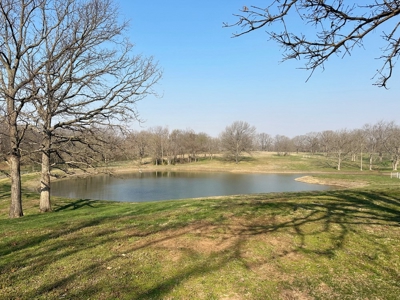 El Dorado Springs Missouri Country Home & Land For Sale - image 43