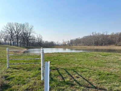 El Dorado Springs Missouri Country Home & Land For Sale - image 42