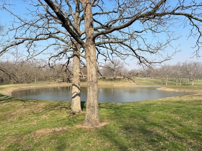 El Dorado Springs Missouri Country Home & Land For Sale - image 44