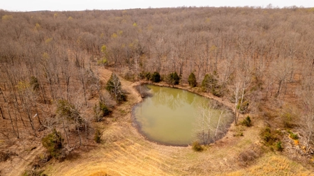 Land/Acreage for Sale in Oregon County, Missouri - image 5