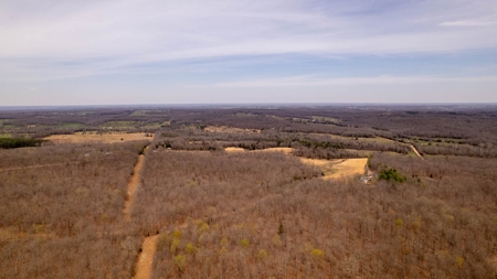 Land/Acreage for Sale in Oregon County, Missouri - image 3