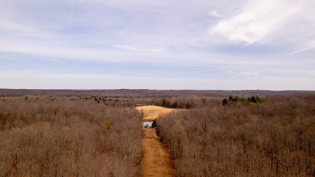 Land/Acreage for Sale in Oregon County, Missouri - image 2