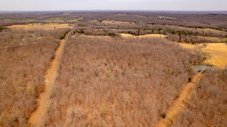 Land/Acreage for Sale in Oregon County, Missouri - image 4