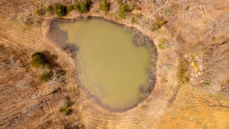 Land/Acreage for Sale in Oregon County, Missouri - image 6