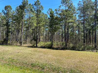 Timberland W/ Creek W/ Utilities near Star City, AR for Sale - image 4